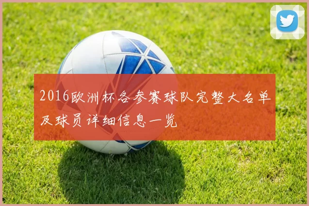2016欧洲杯各参赛球队完整大名单及球员详细信息一览